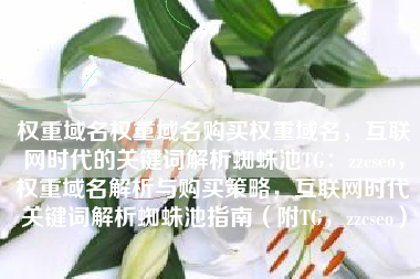 权重域名权重域名购买权重域名，互联网时代的关键词解析蜘蛛池TG：zzcseo，权重域名解析与购买策略，互联网时代关键词解析蜘蛛池指南（附TG，zzcseo）