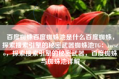 百度蜘蛛百度蜘蛛池是什么百度蜘蛛，探索搜索引擎的秘密武器蜘蛛池TG：zzcseo，探索搜索引擎的秘密武器，百度蜘蛛与蜘蛛池详解