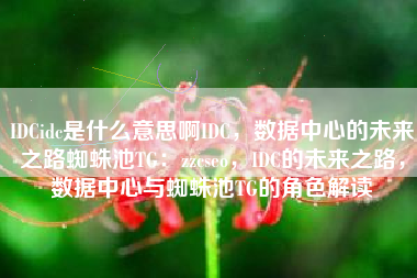 IDCidc是什么意思啊IDC，数据中心的未来之路蜘蛛池TG：zzcseo，IDC的未来之路，数据中心与蜘蛛池TG的角色解读