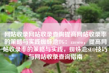 网站收录网站收录查询提高网站收录率的策略与实践蜘蛛池TG：zzcseo，提高网站收录率的策略与实践，蜘蛛池SEO技巧与网站收录查询指南