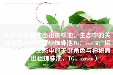 蜘蛛池蜘蛛池出租蜘蛛池，生态中的关键角色与神秘面纱蜘蛛池TG：zzcseo，揭秘蜘蛛池，生态中的关键角色与神秘面纱（出租蜘蛛池，TG，zzcseo）