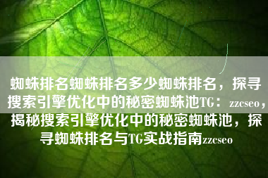 蜘蛛排名蜘蛛排名多少蜘蛛排名，探寻搜索引擎优化中的秘密蜘蛛池TG：zzcseo，揭秘搜索引擎优化中的秘密蜘蛛池，探寻蜘蛛排名与TG实战指南zzcseo