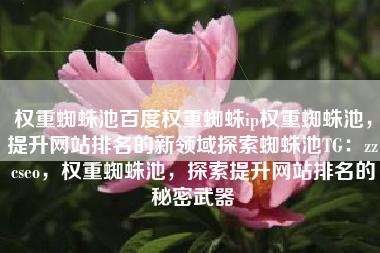 权重蜘蛛池百度权重蜘蛛ip权重蜘蛛池，提升网站排名的新领域探索蜘蛛池TG：zzcseo，权重蜘蛛池，探索提升网站排名的秘密武器