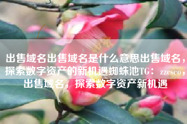 出售域名出售域名是什么意思出售域名，探索数字资产的新机遇蜘蛛池TG：zzcseo，出售域名，探索数字资产新机遇
