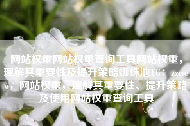 网站权重网站权重查询工具网站权重，理解其重要性及提升策略蜘蛛池TG：zzcseo，网站权重，理解其重要性、提升策略及使用网站权重查询工具