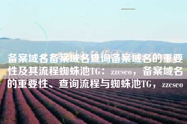备案域名备案域名查询备案域名的重要性及其流程蜘蛛池TG：zzcseo，备案域名的重要性、查询流程与蜘蛛池TG，zzcseo