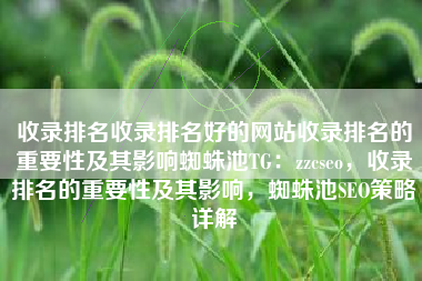 收录排名收录排名好的网站收录排名的重要性及其影响蜘蛛池TG：zzcseo，收录排名的重要性及其影响，蜘蛛池SEO策略详解