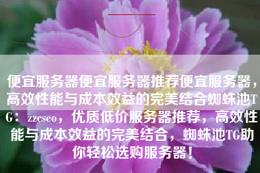 便宜服务器便宜服务器推荐便宜服务器，高效性能与成本效益的完美结合蜘蛛池TG：zzcseo，优质低价服务器推荐，高效性能与成本效益的完美结合，蜘蛛池TG助你轻松选购服务器！