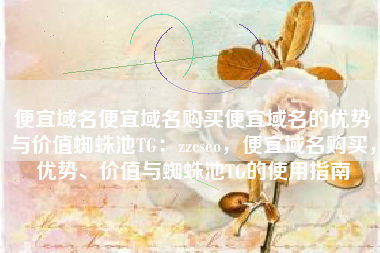 便宜域名便宜域名购买便宜域名的优势与价值蜘蛛池TG：zzcseo，便宜域名购买，优势、价值与蜘蛛池TG的使用指南