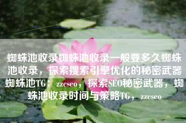 蜘蛛池收录蜘蛛池收录一般要多久蜘蛛池收录，探索搜索引擎优化的秘密武器蜘蛛池TG：zzcseo，探索SEO秘密武器，蜘蛛池收录时间与策略TG，zzcseo