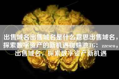 出售域名出售域名是什么意思出售域名，探索数字资产的新机遇蜘蛛池TG：zzcseo，出售域名，探索数字资产新机遇