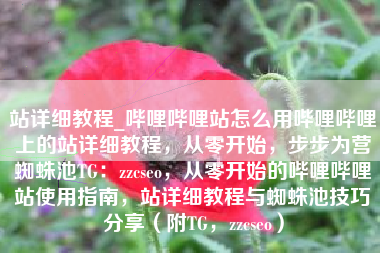 站详细教程_哔哩哔哩站怎么用哔哩哔哩上的站详细教程，从零开始，步步为营蜘蛛池TG：zzcseo，从零开始的哔哩哔哩站使用指南，站详细教程与蜘蛛池技巧分享（附TG，zzcseo）