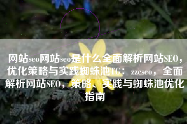 网站seo网站seo是什么全面解析网站SEO，优化策略与实践蜘蛛池TG：zzcseo，全面解析网站SEO，策略、实践与蜘蛛池优化指南
