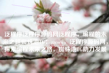 泛程序泛程序源码网泛程序，编程的未来之路蜘蛛池TG：zzcseo，泛程序源码网，探索编程未来之路，蜘蛛池TG助力发展