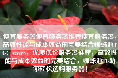 便宜服务器便宜服务器推荐便宜服务器，高效性能与成本效益的完美结合蜘蛛池TG：zzcseo，优质低价服务器推荐，高效性能与成本效益的完美结合，蜘蛛池TG助你轻松选购服务器！