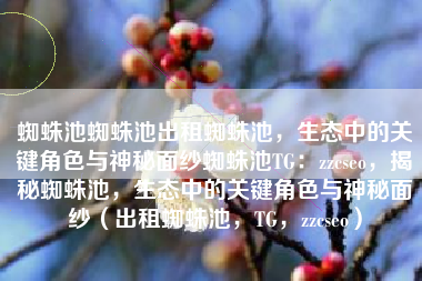 蜘蛛池蜘蛛池出租蜘蛛池，生态中的关键角色与神秘面纱蜘蛛池TG：zzcseo，揭秘蜘蛛池，生态中的关键角色与神秘面纱（出租蜘蛛池，TG，zzcseo）