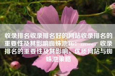 收录排名收录排名好的网站收录排名的重要性及其影响蜘蛛池TG：zzcseo，收录排名的重要性及其影响，优质网站与蜘蛛池策略