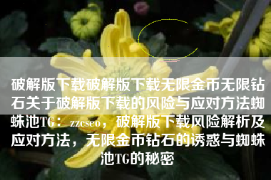 破解版下载破解版下载无限金币无限钻石关于破解版下载的风险与应对方法蜘蛛池TG：zzcseo，破解版下载风险解析及应对方法，无限金币钻石的诱惑与蜘蛛池TG的秘密