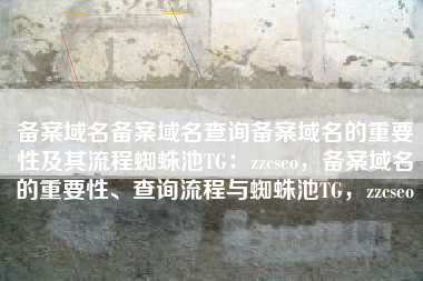 备案域名备案域名查询备案域名的重要性及其流程蜘蛛池TG：zzcseo，备案域名的重要性、查询流程与蜘蛛池TG，zzcseo