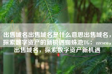 出售域名出售域名是什么意思出售域名，探索数字资产的新机遇蜘蛛池TG：zzcseo，出售域名，探索数字资产新机遇
