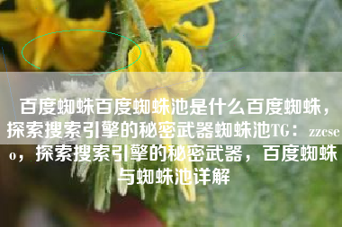 百度蜘蛛百度蜘蛛池是什么百度蜘蛛，探索搜索引擎的秘密武器蜘蛛池TG：zzcseo，探索搜索引擎的秘密武器，百度蜘蛛与蜘蛛池详解