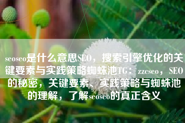 seoseo是什么意思SEO，搜索引擎优化的关键要素与实践策略蜘蛛池TG：zzcseo，SEO的秘密，关键要素、实践策略与蜘蛛池的理解，了解seoseo的真正含义