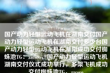 国产动力轻型运动飞机在湖南交付国产动力轻型运动飞机在湖南交付多少台国产动力轻型运动飞机在湖南成功交付蜘蛛池TG：zzcseo，国产动力轻型运动飞机湖南交付仪式成功举行，多架飞机成功交付蜘蛛池TG，zzcseo