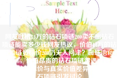 网友吐槽14万的钻石项链200卖不出钻石项链能卖多少钱网友热议，价值14万的钻石项链竟标价200仍无人问津？蜘蛛池TG：zzcseo，价值昂贵的钻石项链遭遇冷遇，网友热议标价与真实价值差异巨大的钻石项链引发讨论