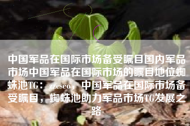中国军品在国际市场备受瞩目国内军品市场中国军品在国际市场的瞩目地位蜘蛛池TG：zzcseo，中国军品在国际市场备受瞩目，蜘蛛池助力军品市场TG发展之路