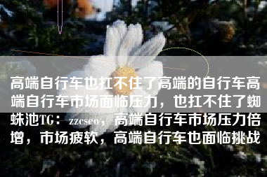 高端自行车也扛不住了高端的自行车高端自行车市场面临压力，也扛不住了蜘蛛池TG：zzcseo，高端自行车市场压力倍增，市场疲软，高端自行车也面临挑战