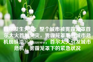 首尔发生火灾：整个城市被雾霾笼罩首尔大火首尔火灾，雾霾笼罩下的城市危机蜘蛛池TG：zzcseo，首尔大火引发城市危机，雾霾笼罩下的紧急状况