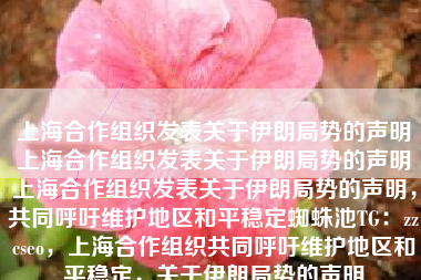 上海合作组织发表关于伊朗局势的声明上海合作组织发表关于伊朗局势的声明上海合作组织发表关于伊朗局势的声明，共同呼吁维护地区和平稳定蜘蛛池TG：zzcseo，上海合作组织共同呼吁维护地区和平稳定，关于伊朗局势的声明