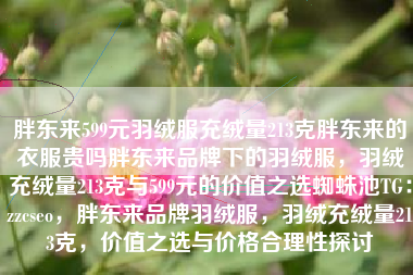 胖东来599元羽绒服充绒量213克胖东来的衣服贵吗胖东来品牌下的羽绒服，羽绒充绒量213克与599元的价值之选蜘蛛池TG：zzcseo，胖东来品牌羽绒服，羽绒充绒量213克，价值之选与价格合理性探讨