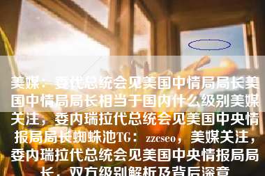 美媒：委代总统会见美国中情局局长美国中情局局长相当于国内什么级别美媒关注，委内瑞拉代总统会见美国中央情报局局长蜘蛛池TG：zzcseo，美媒关注，委内瑞拉代总统会见美国中央情报局局长，双方级别解析及背后深意