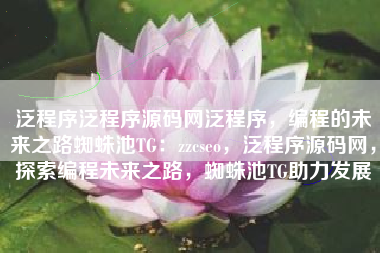 泛程序泛程序源码网泛程序，编程的未来之路蜘蛛池TG：zzcseo，泛程序源码网，探索编程未来之路，蜘蛛池TG助力发展