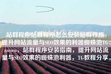 站群程序站群程序怎么安装站群程序，提升网站流量与SEO效果的利器蜘蛛池TG：zzcseo，站群程序安装指南，提升网站流量与SEO效果的蜘蛛池利器，TG教程分享。