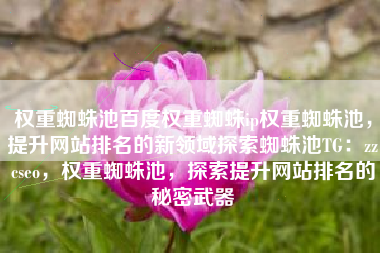 权重蜘蛛池百度权重蜘蛛ip权重蜘蛛池，提升网站排名的新领域探索蜘蛛池TG：zzcseo，权重蜘蛛池，探索提升网站排名的秘密武器