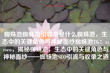 蜘蛛池蜘蛛池引收录是什么蜘蛛池，生态中的关键角色与神秘面纱蜘蛛池TG：zzcseo，揭秘蜘蛛池，生态中的关键角色与神秘面纱——蜘蛛池SEO引流与收录之道