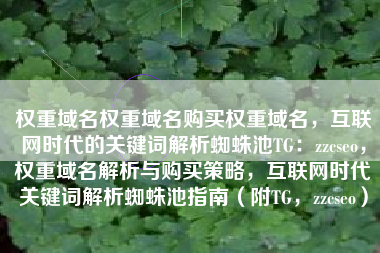权重域名权重域名购买权重域名，互联网时代的关键词解析蜘蛛池TG：zzcseo，权重域名解析与购买策略，互联网时代关键词解析蜘蛛池指南（附TG，zzcseo）