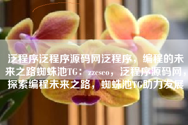 泛程序泛程序源码网泛程序，编程的未来之路蜘蛛池TG：zzcseo，泛程序源码网，探索编程未来之路，蜘蛛池TG助力发展