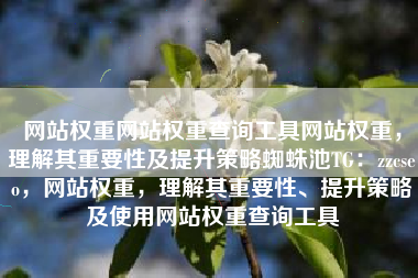 网站权重网站权重查询工具网站权重，理解其重要性及提升策略蜘蛛池TG：zzcseo，网站权重，理解其重要性、提升策略及使用网站权重查询工具