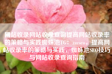 网站收录网站收录查询提高网站收录率的策略与实践蜘蛛池TG：zzcseo，提高网站收录率的策略与实践，蜘蛛池SEO技巧与网站收录查询指南