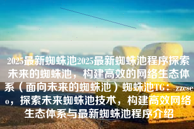 2025最新蜘蛛池2025最新蜘蛛池程序探索未来的蜘蛛池，构建高效的网络生态体系（面向未来的蜘蛛池）蜘蛛池TG：zzcseo，探索未来蜘蛛池技术，构建高效网络生态体系与最新蜘蛛池程序介绍