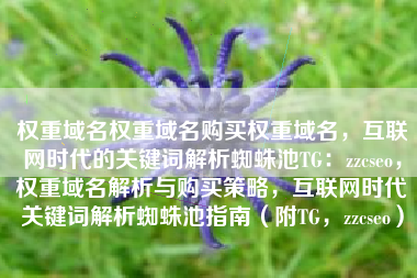 权重域名权重域名购买权重域名，互联网时代的关键词解析蜘蛛池TG：zzcseo，权重域名解析与购买策略，互联网时代关键词解析蜘蛛池指南（附TG，zzcseo）