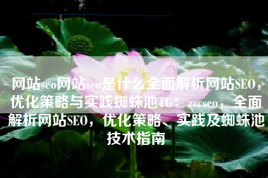 网站seo网站seo是什么全面解析网站SEO，优化策略与实践蜘蛛池TG：zzcseo，全面解析网站SEO，优化策略、实践及蜘蛛池技术指南