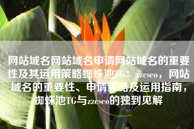 网站域名网站域名申请网站域名的重要性及其运用策略蜘蛛池TG：zzcseo，网站域名的重要性、申请策略及运用指南，蜘蛛池TG与zzcseo的独到见解