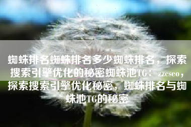 蜘蛛排名蜘蛛排名多少蜘蛛排名，探索搜索引擎优化的秘密蜘蛛池TG：zzcseo，探索搜索引擎优化秘密，蜘蛛排名与蜘蛛池TG的秘密