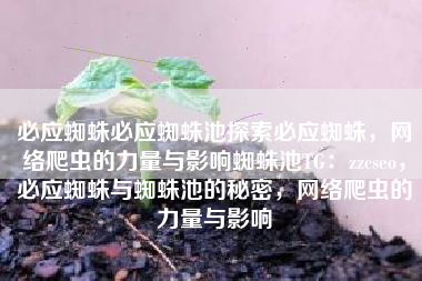 必应蜘蛛必应蜘蛛池探索必应蜘蛛，网络爬虫的力量与影响蜘蛛池TG：zzcseo，必应蜘蛛与蜘蛛池的秘密，网络爬虫的力量与影响