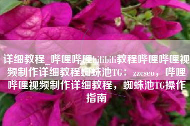 详细教程_哔哩哔哩bilibili教程哔哩哔哩视频制作详细教程蜘蛛池TG：zzcseo，哔哩哔哩视频制作详细教程，蜘蛛池TG操作指南