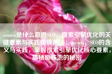 seoseo是什么意思SEO，搜索引擎优化的关键要素与实践蜘蛛池TG：zzcseo，SEO的含义与实践，掌握搜索引擎优化核心要素，揭秘蜘蛛池的秘密